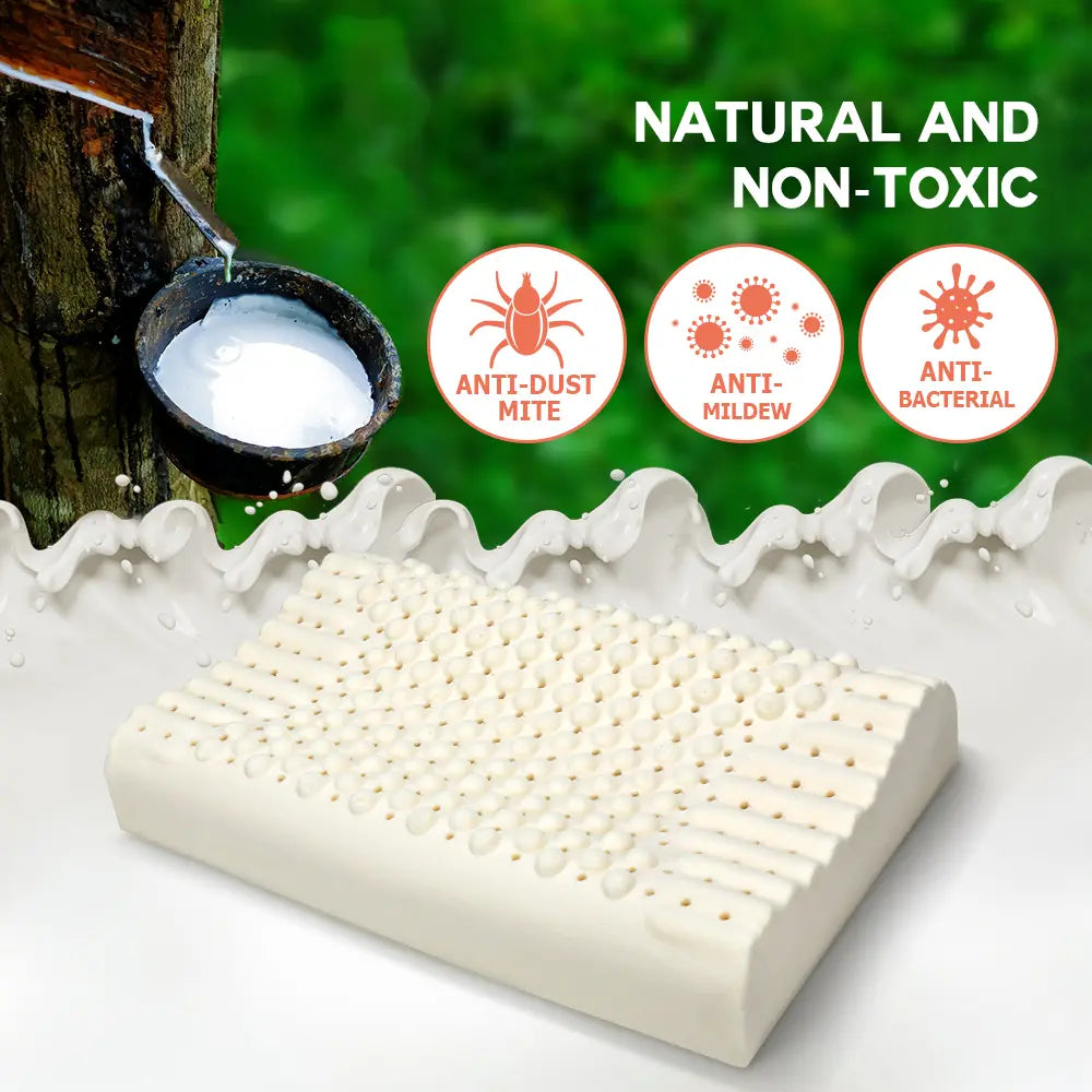 Ivory Natural Organic Latex Pillow