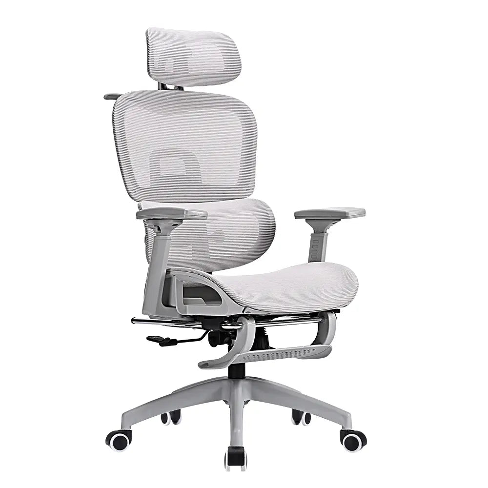 Cushy Ergonomic Office Chair PRO